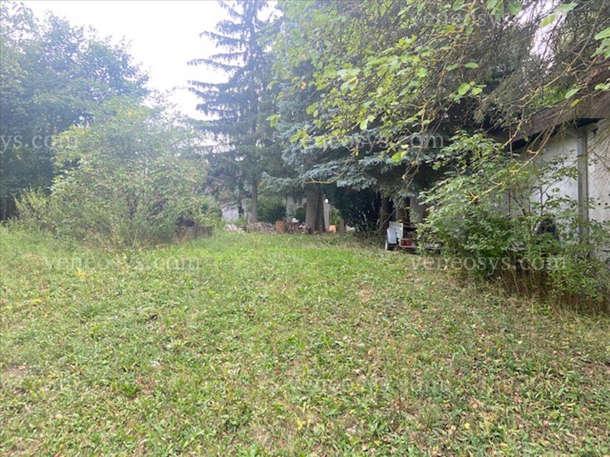 Kép 8