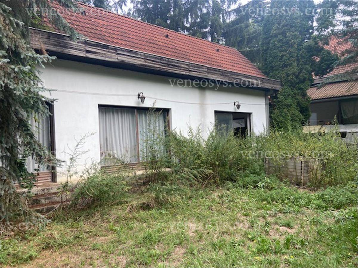 Márkó