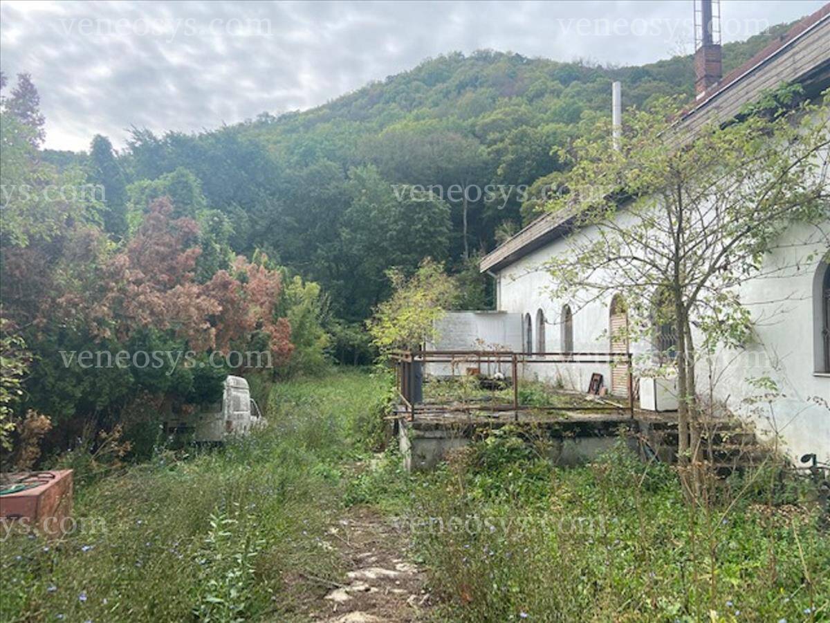 Kép 7