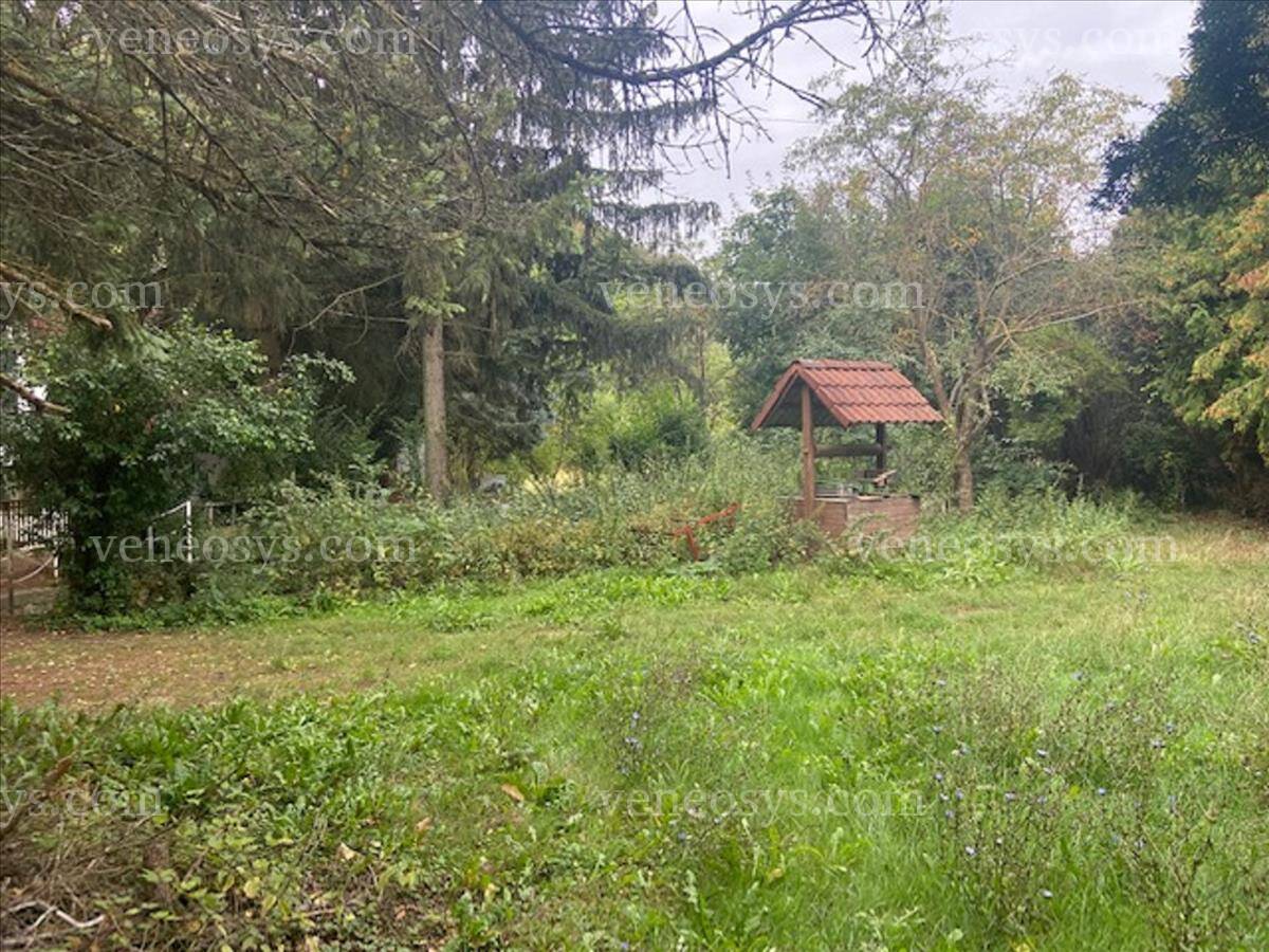 Kép 12