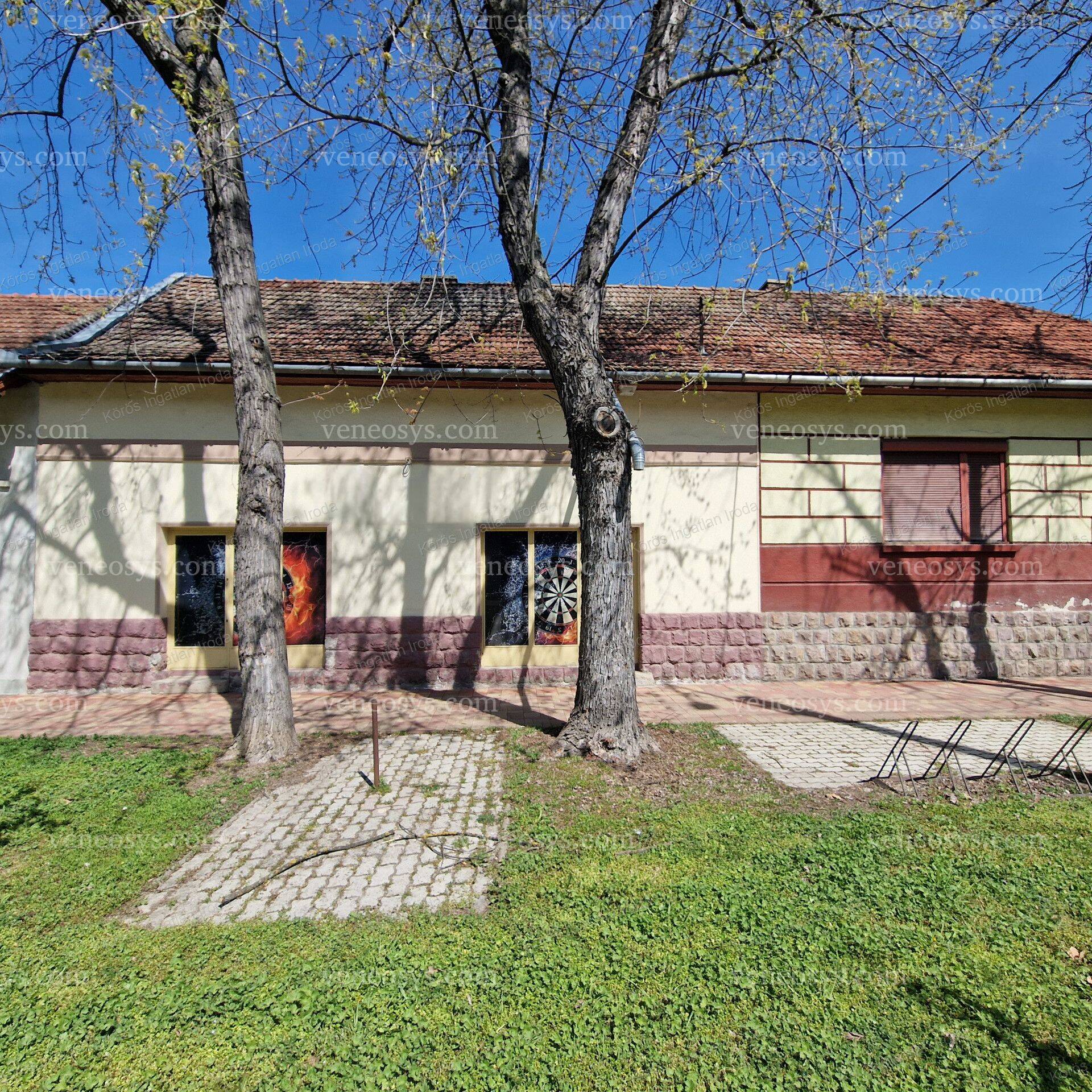 Kép 8