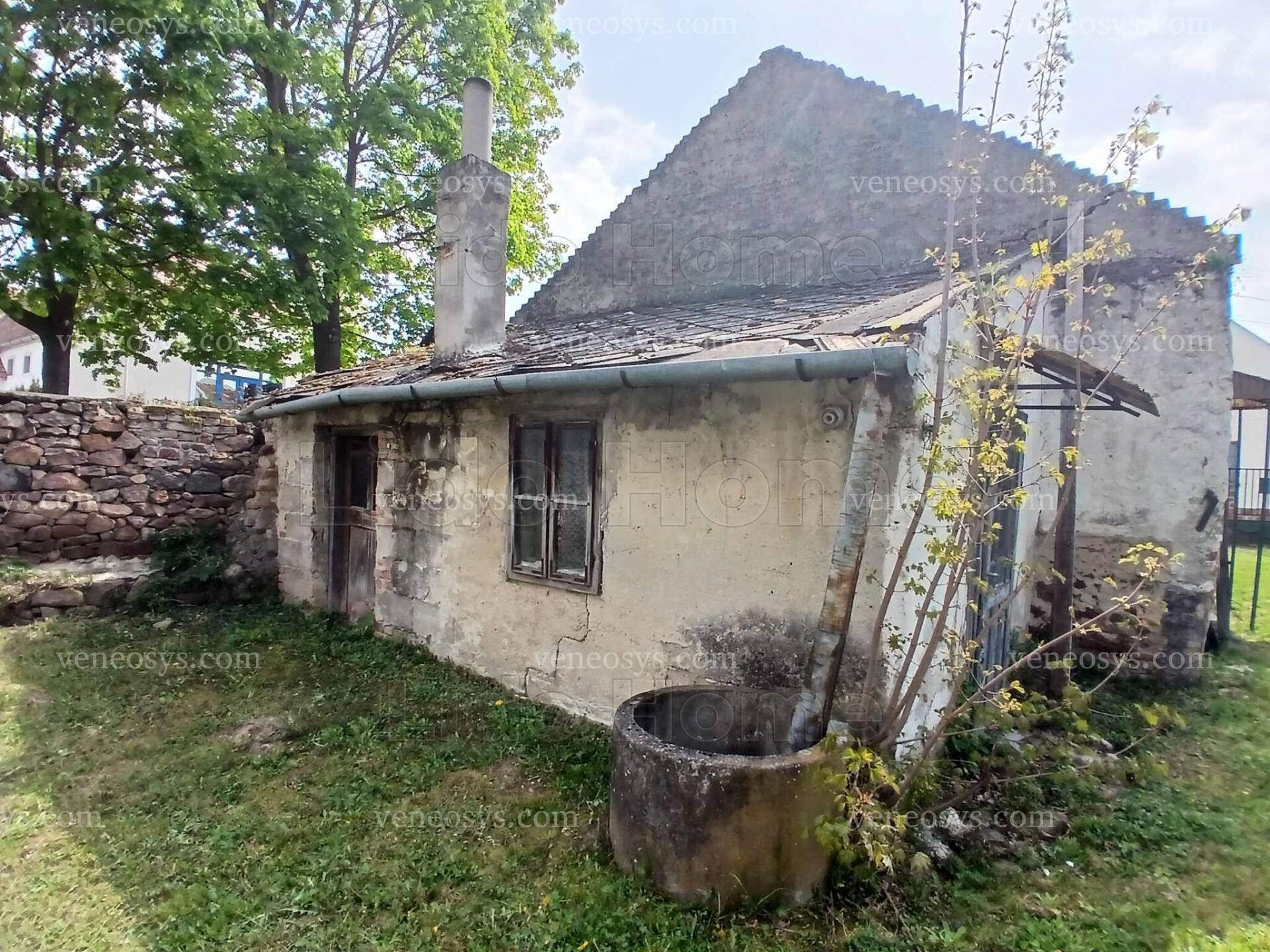 Kép 5