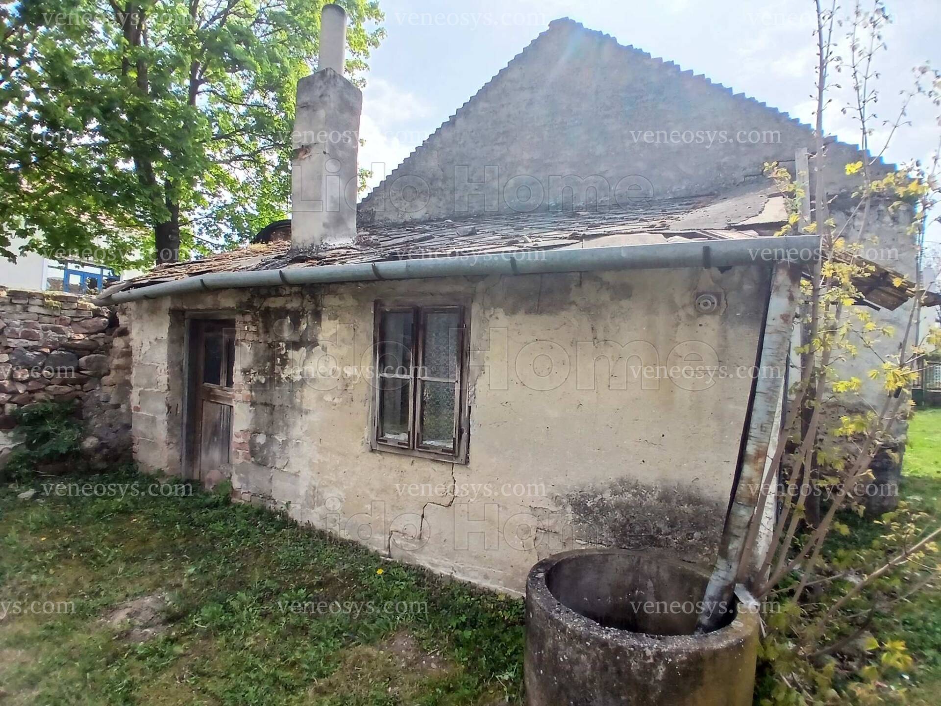 Kép 12