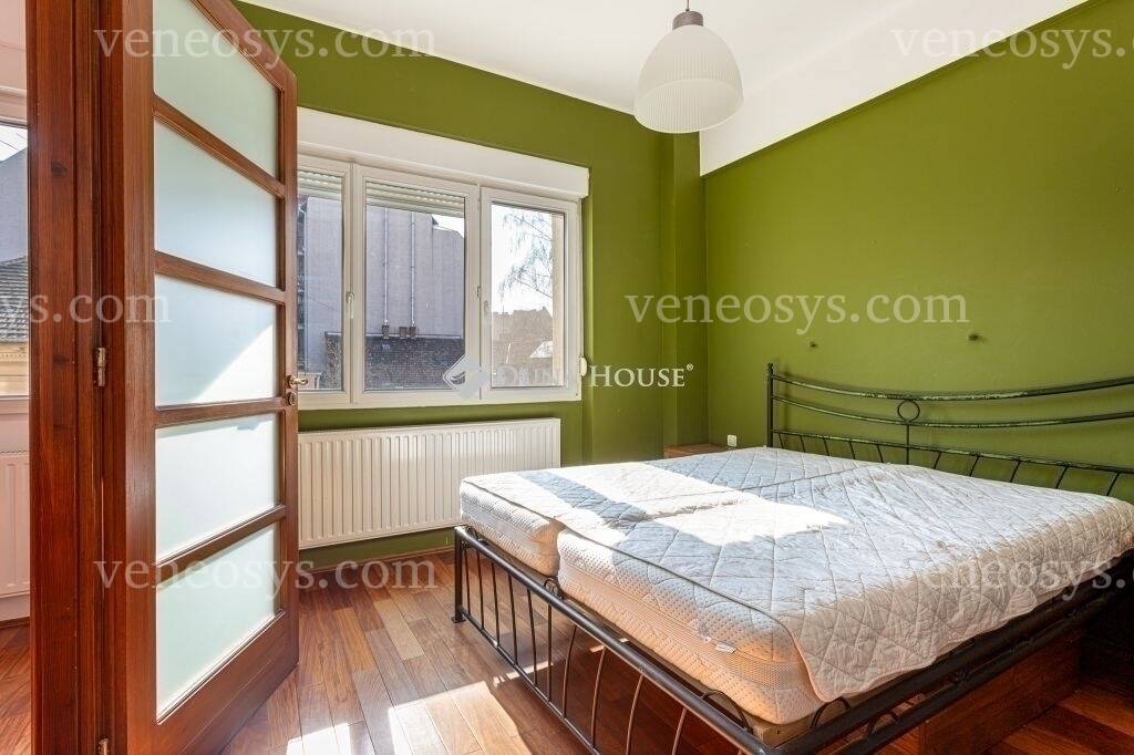 Kép 7