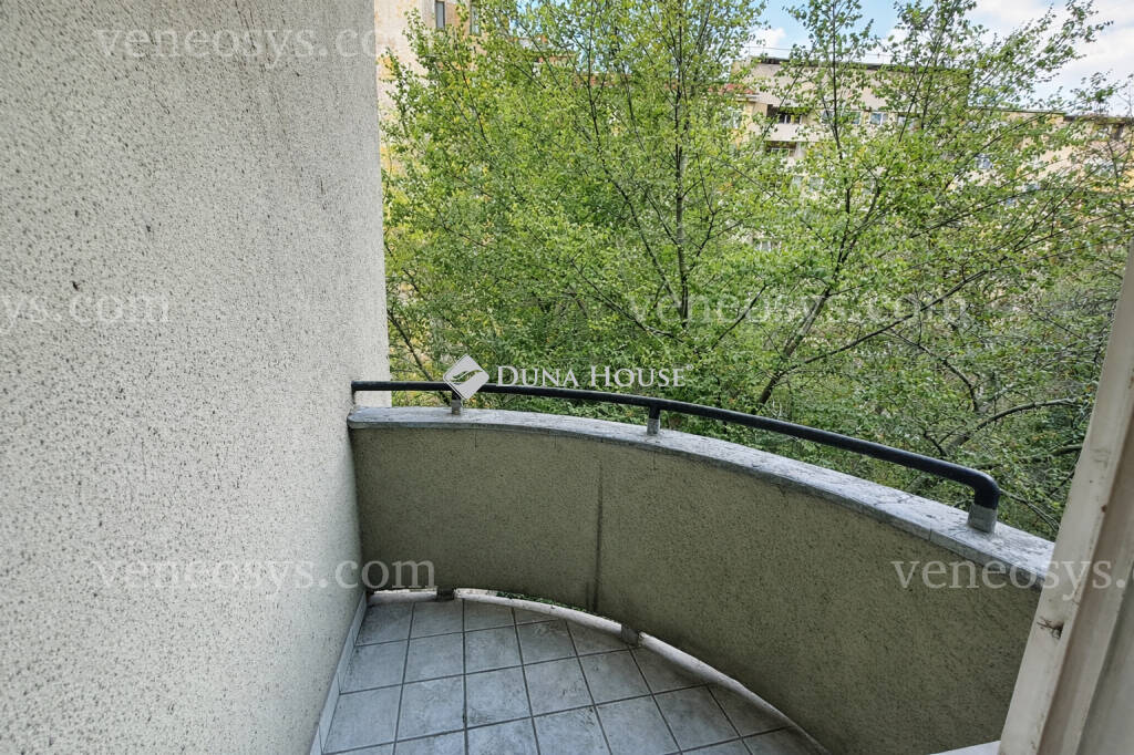 Kép 8