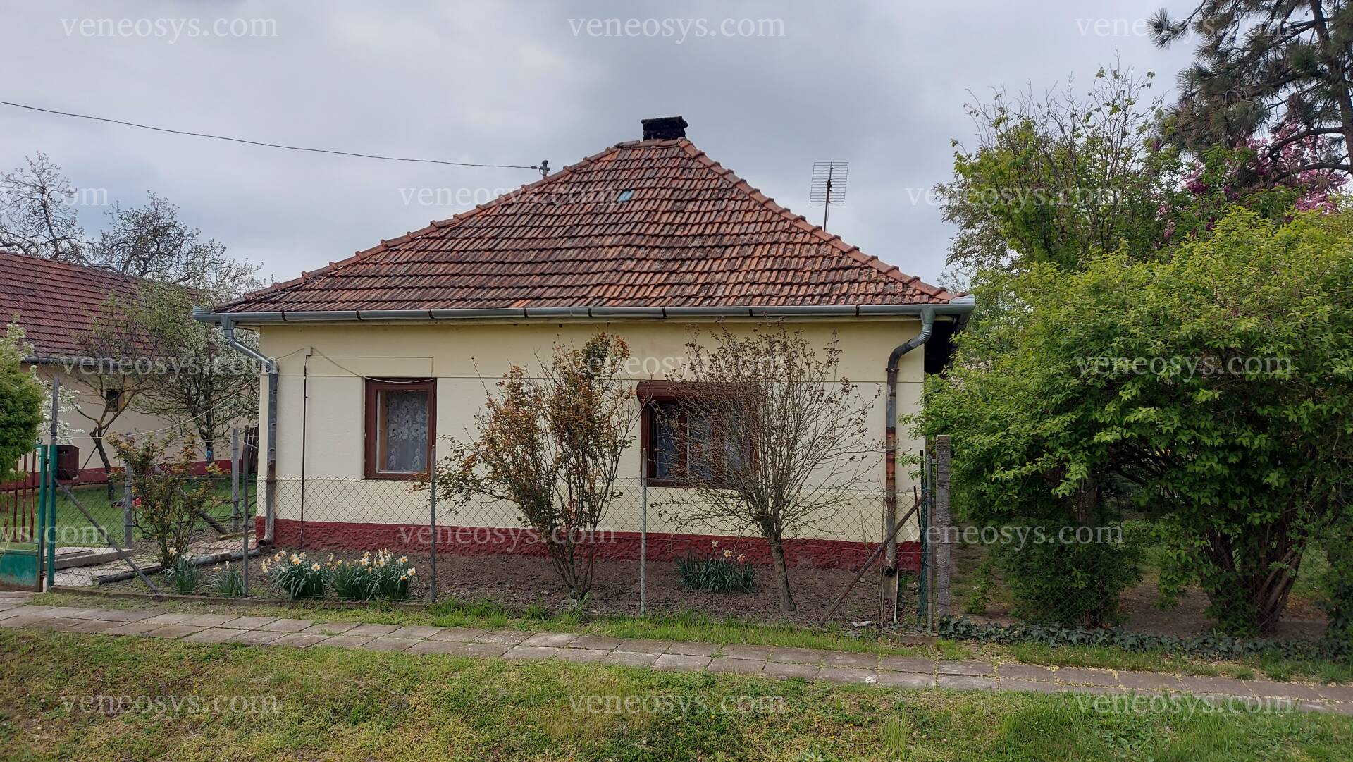 Kép 18