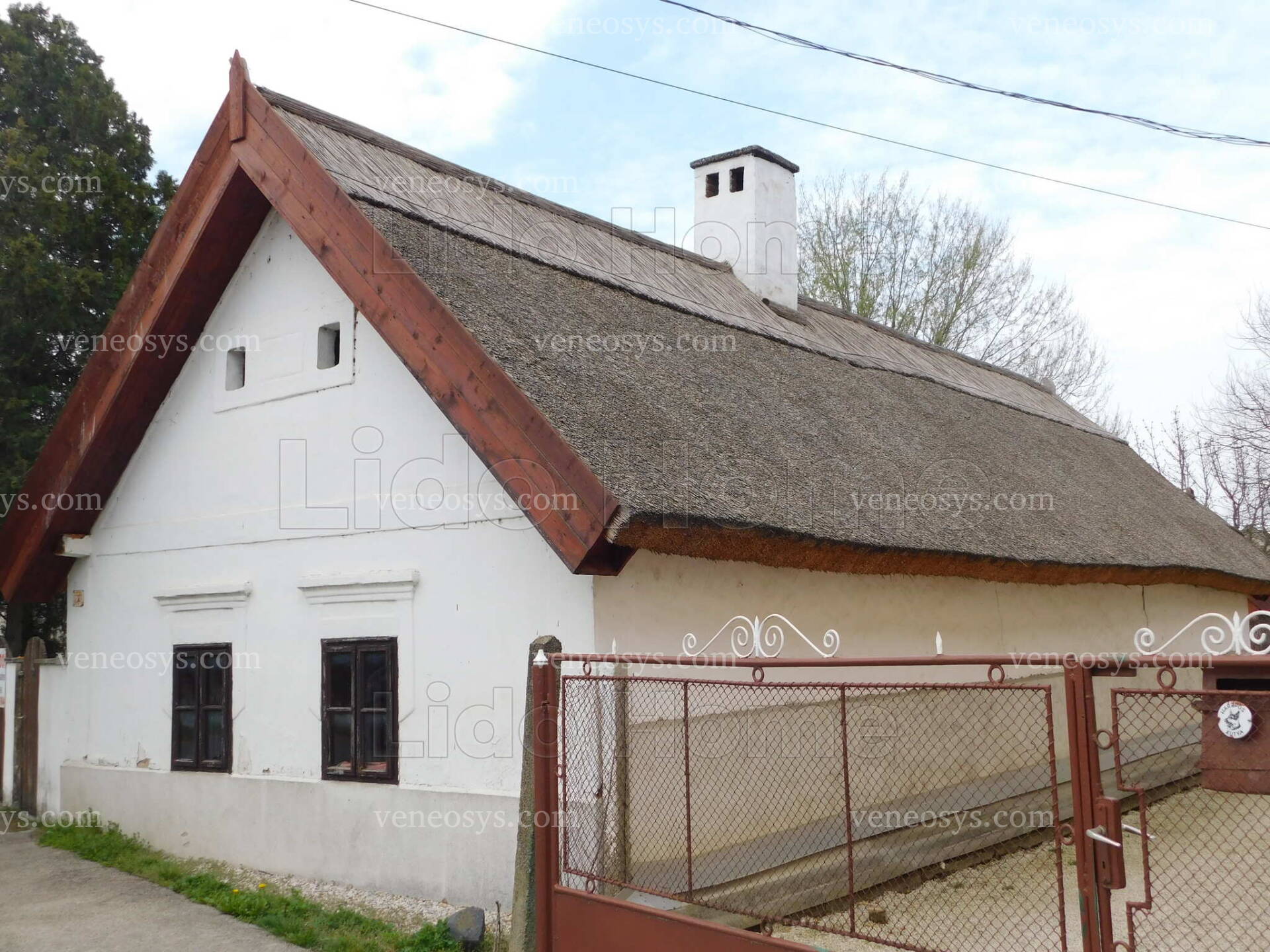 Kép 1