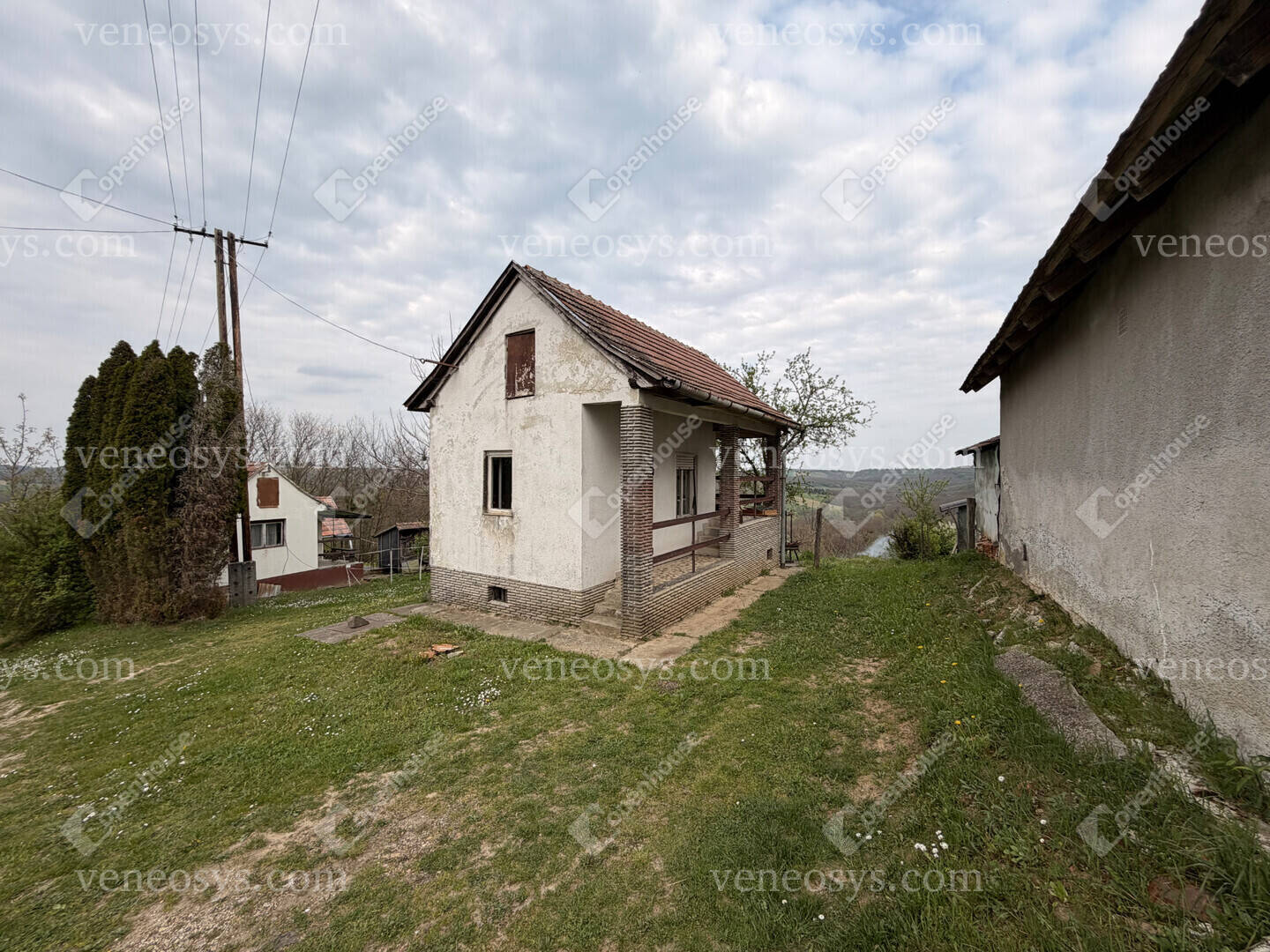 Kép 5
