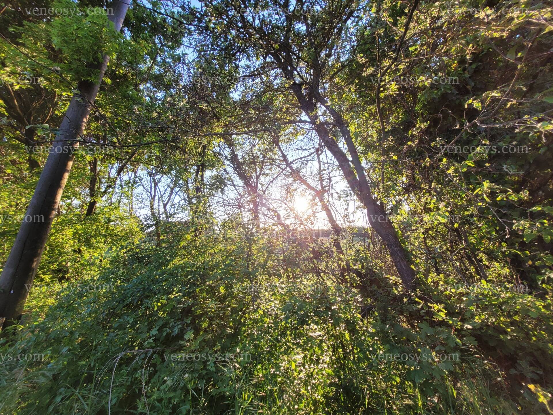 Kép 13