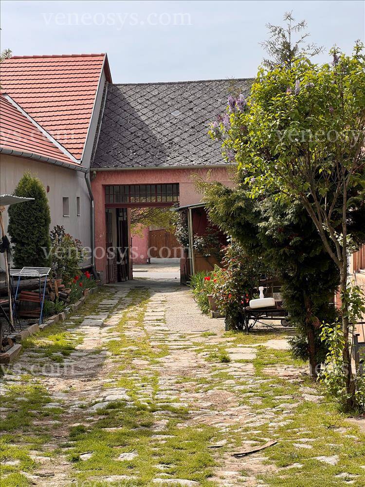 Kép 6