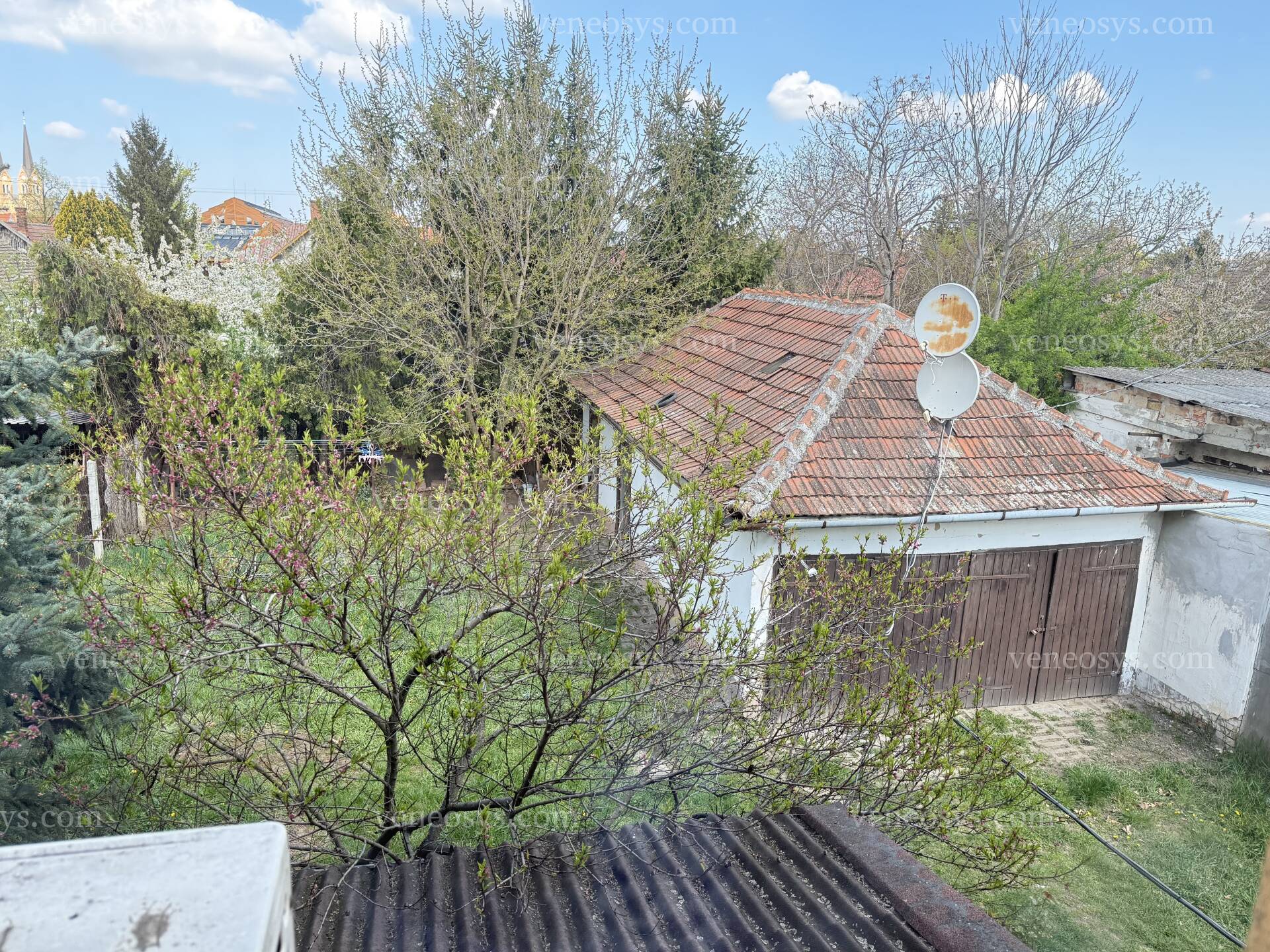 Kép 17