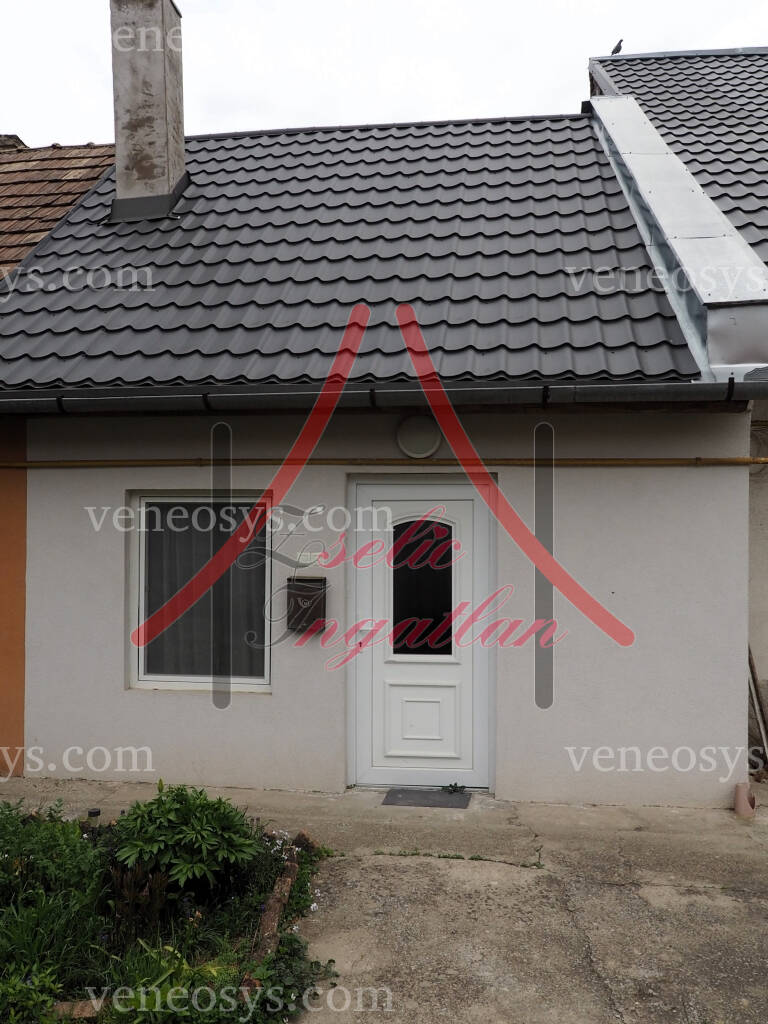 Kép 4