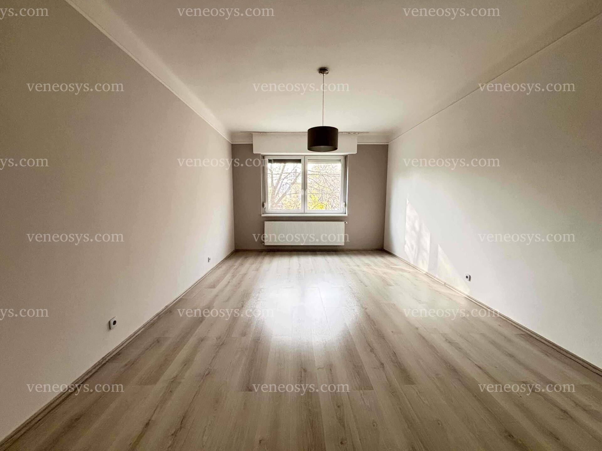 Kép 6