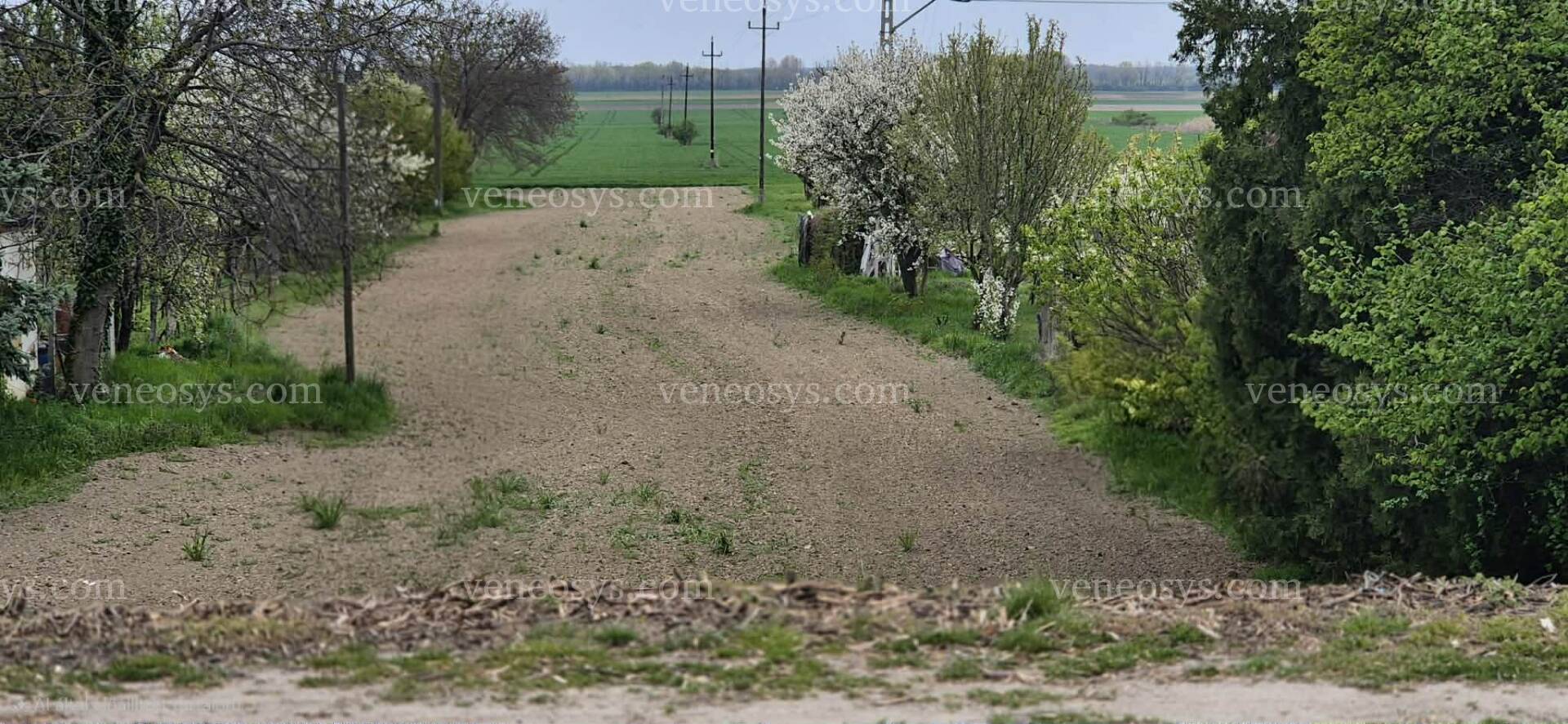 Kép 3