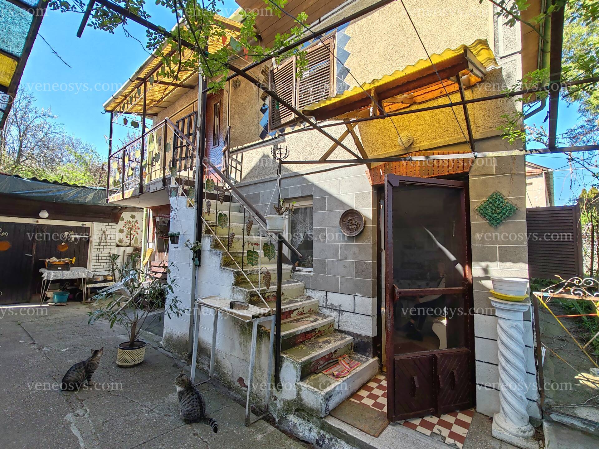 Kép 17