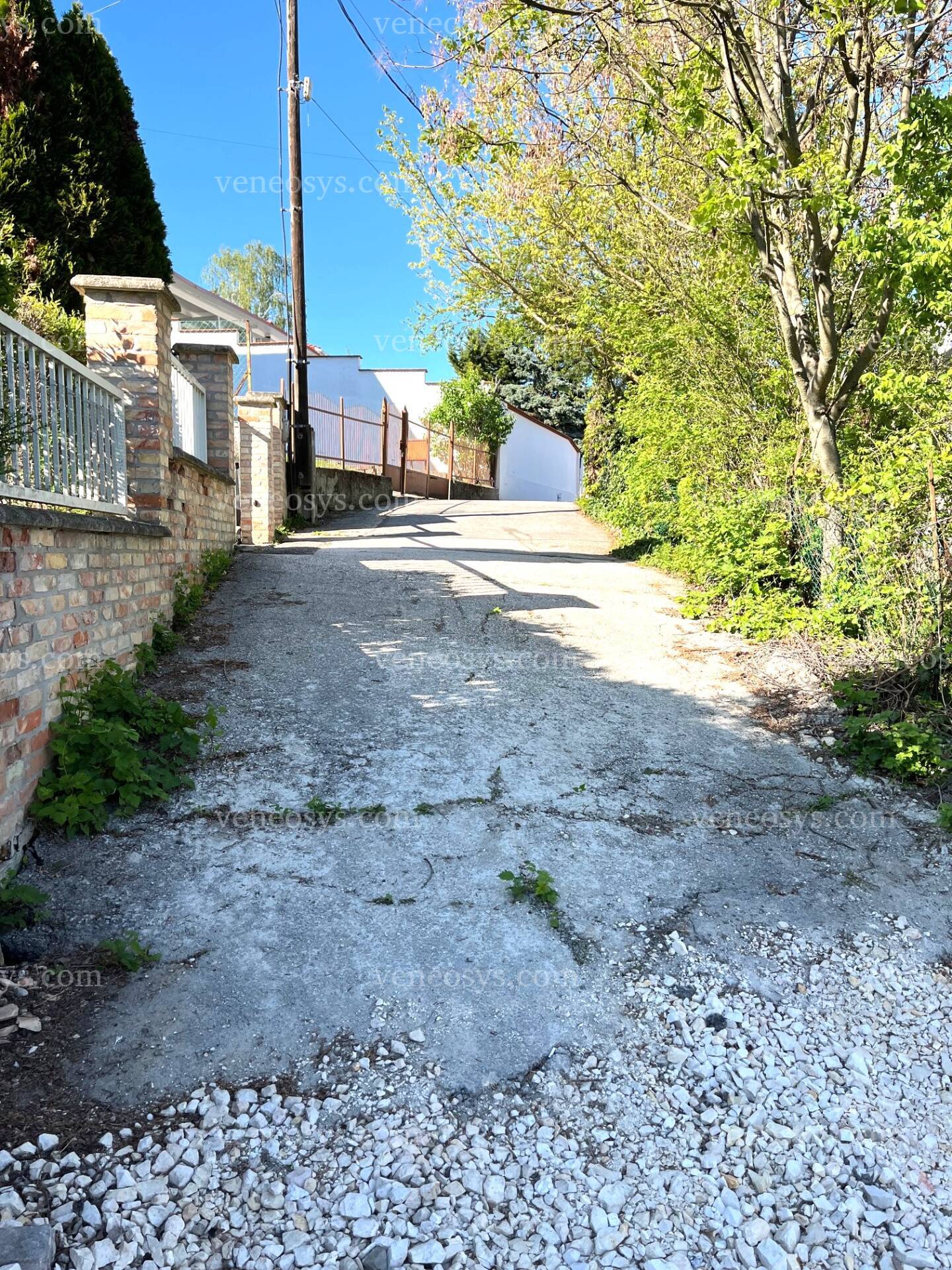 Kép 10