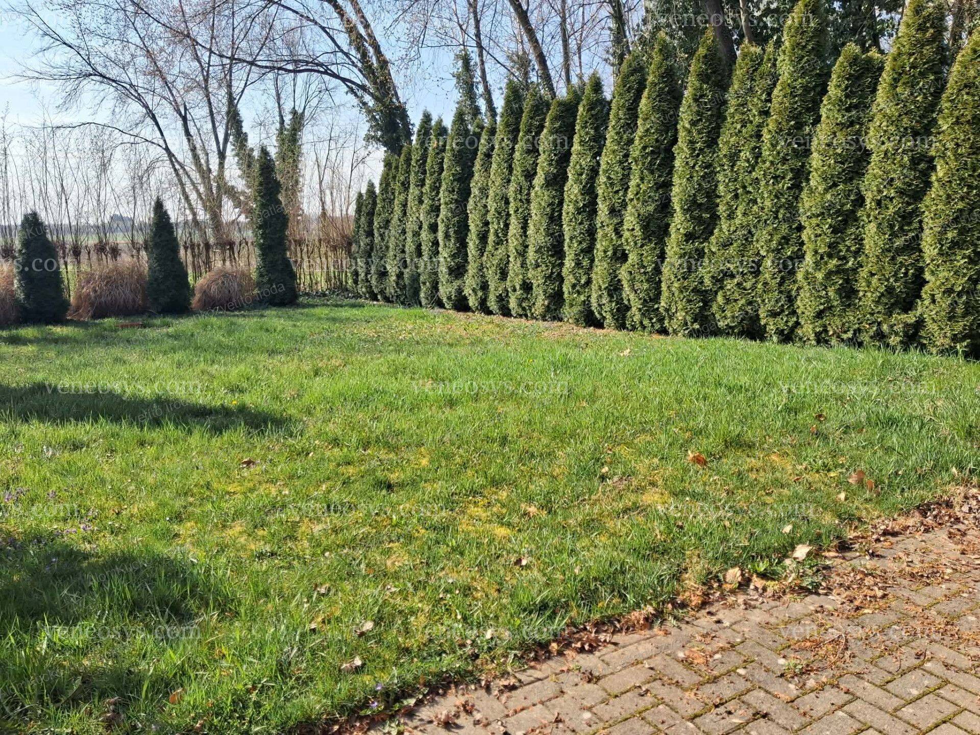 Kép 3
