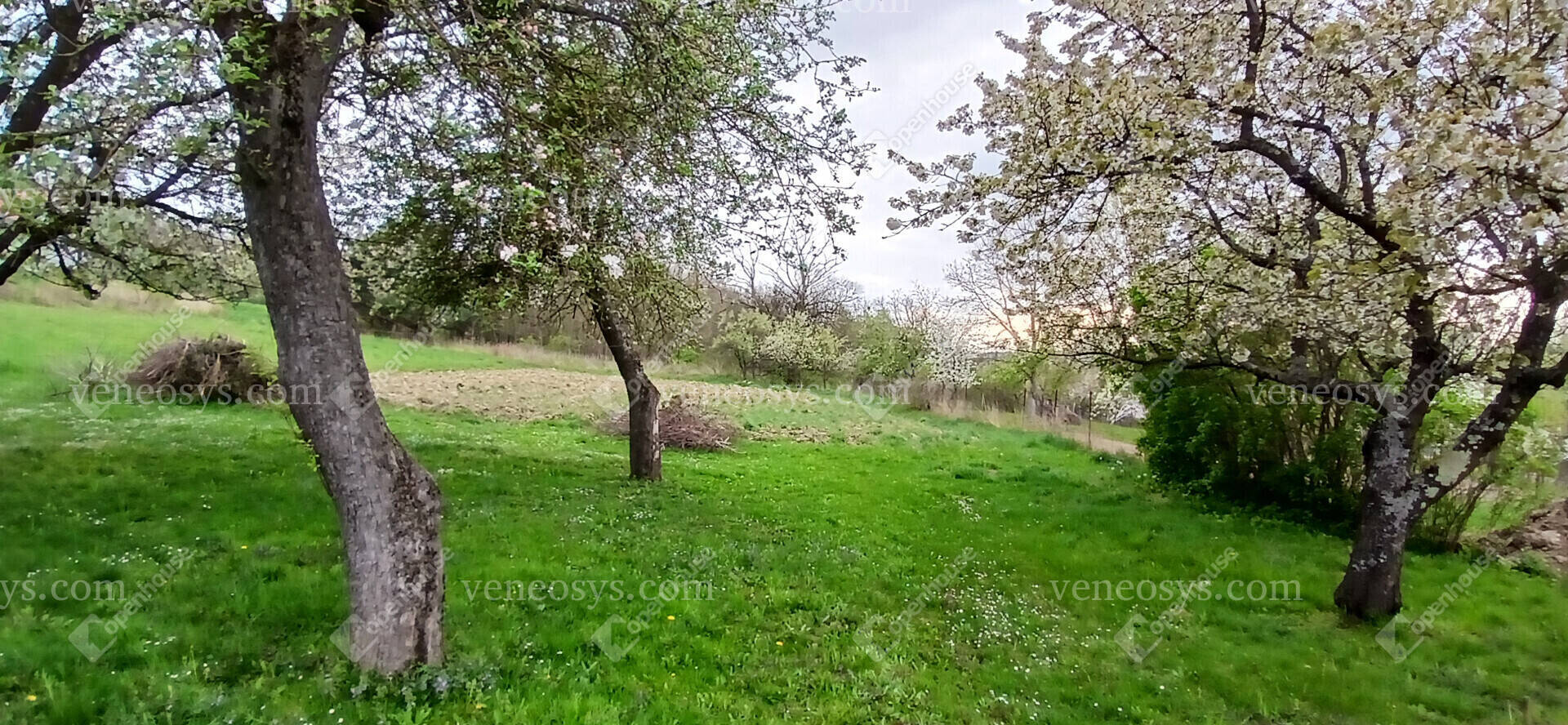 Kép 30