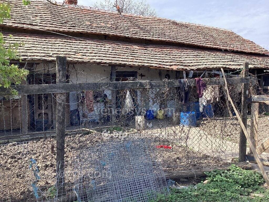 Kép 5