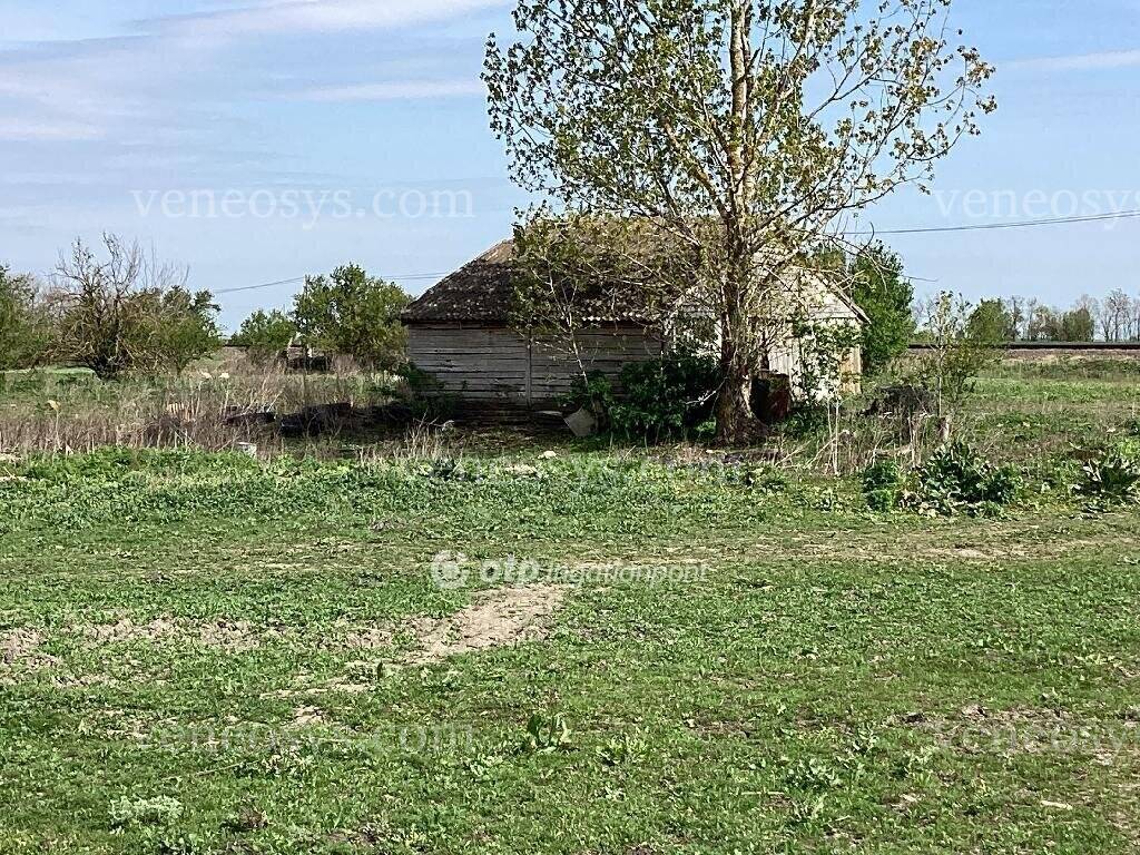 Kép 7