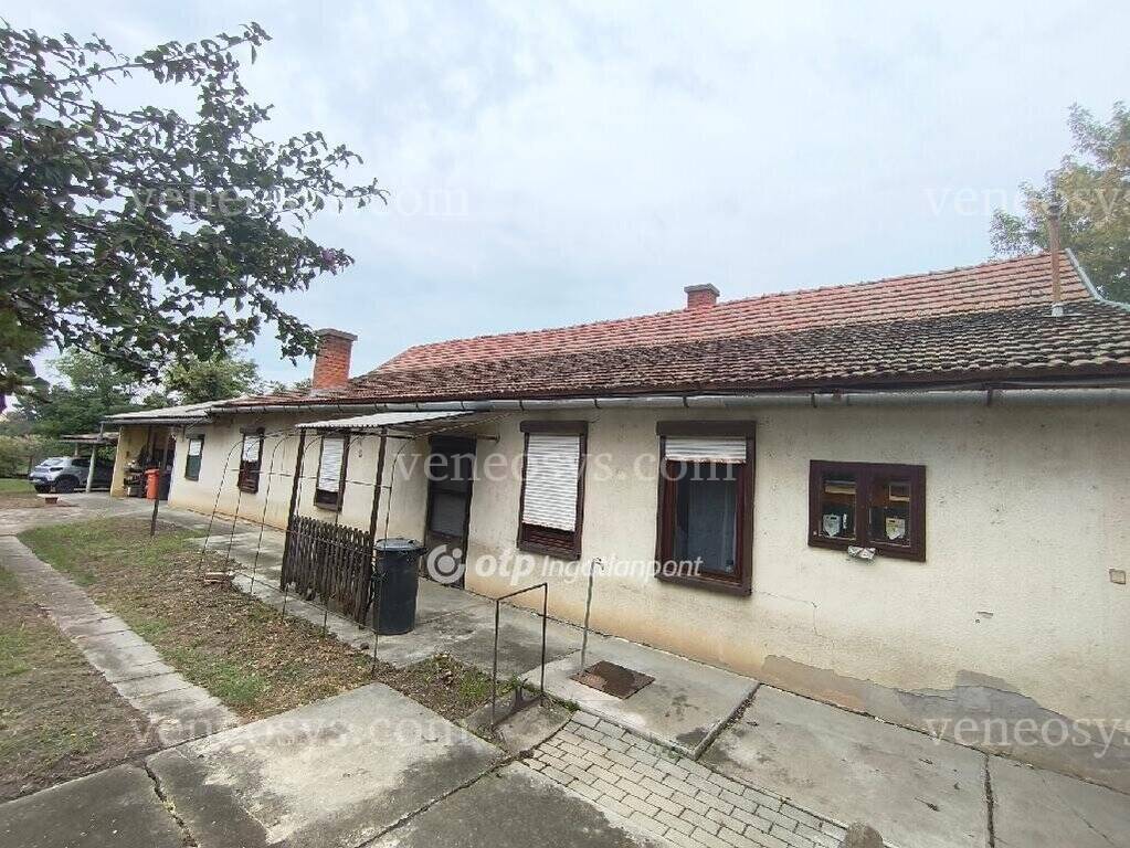 Kép 10