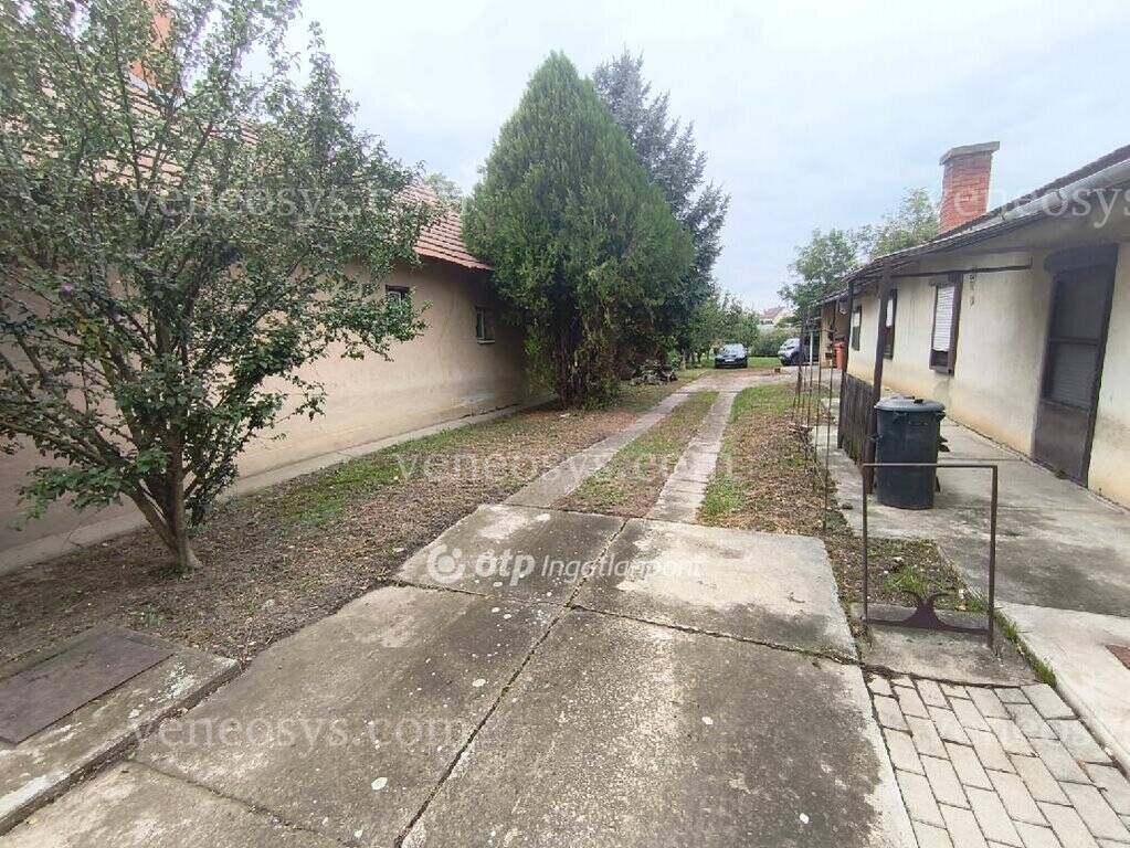 Kép 9
