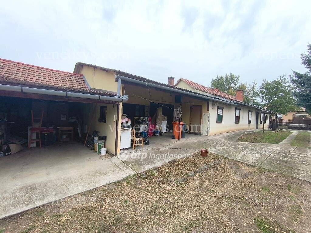 Kép 12
