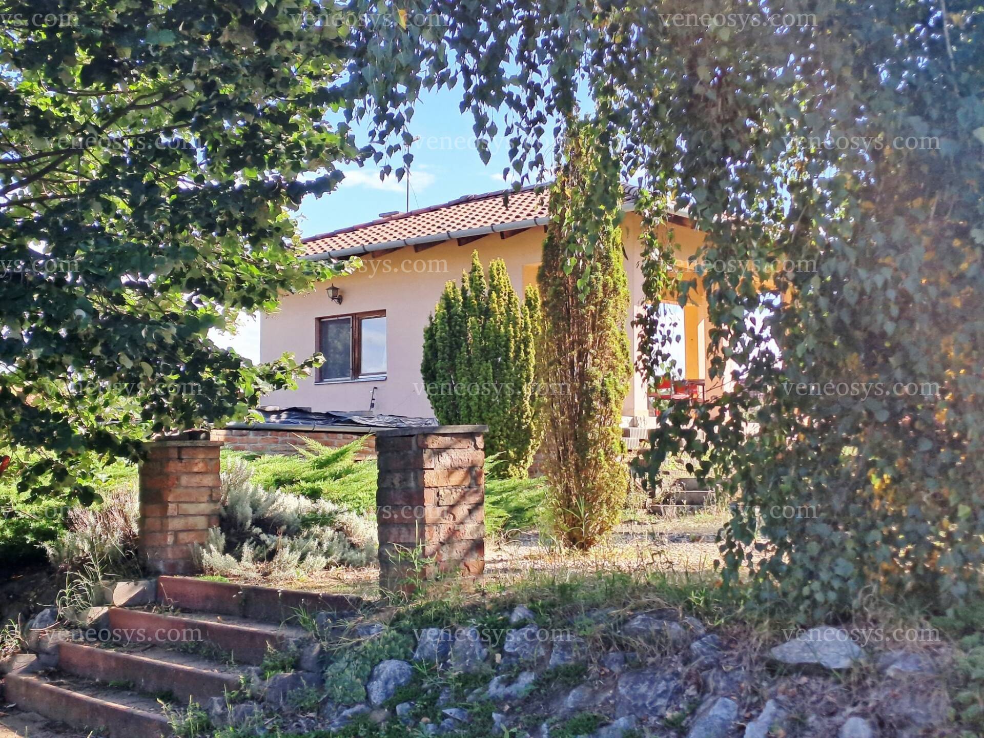 Kép 1