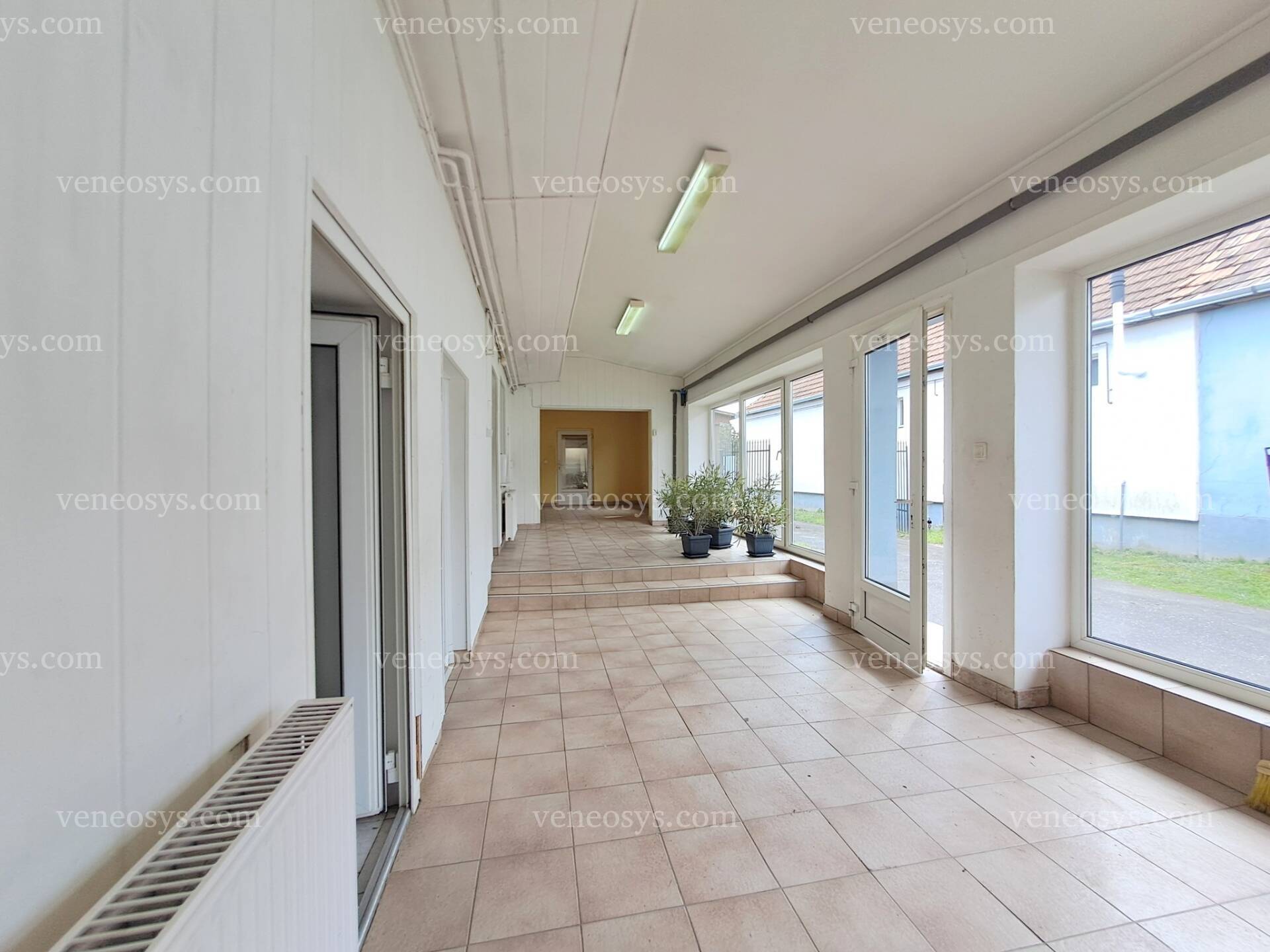 Kép 4