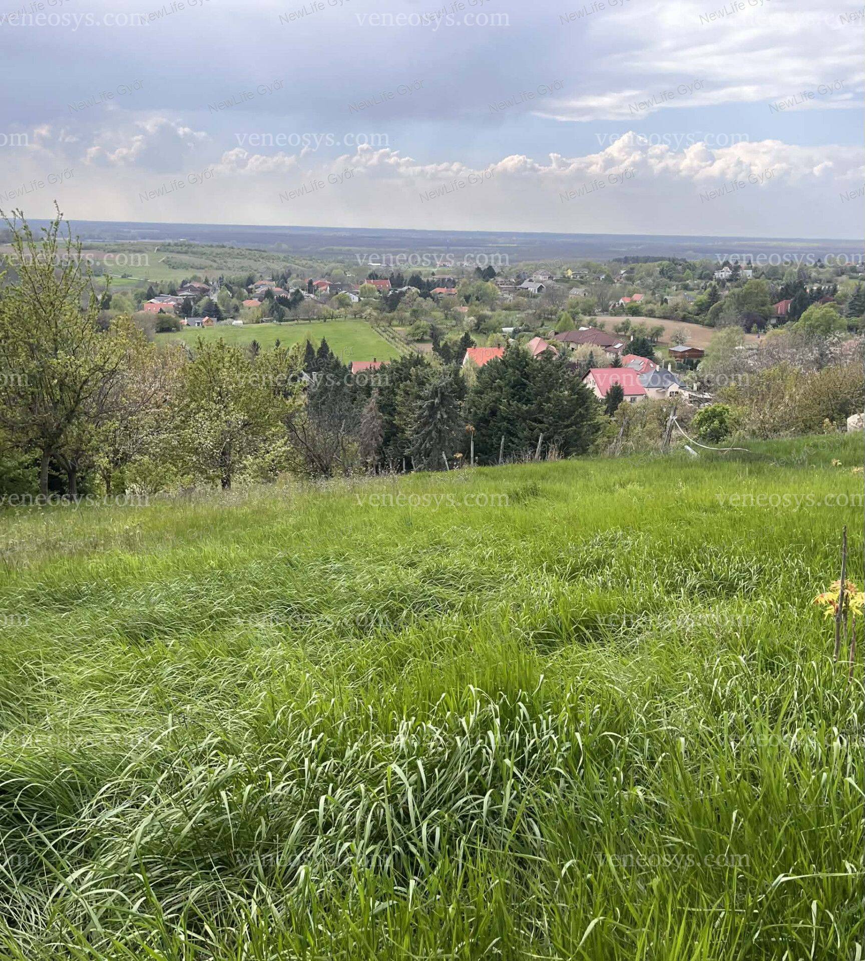 Kép 2