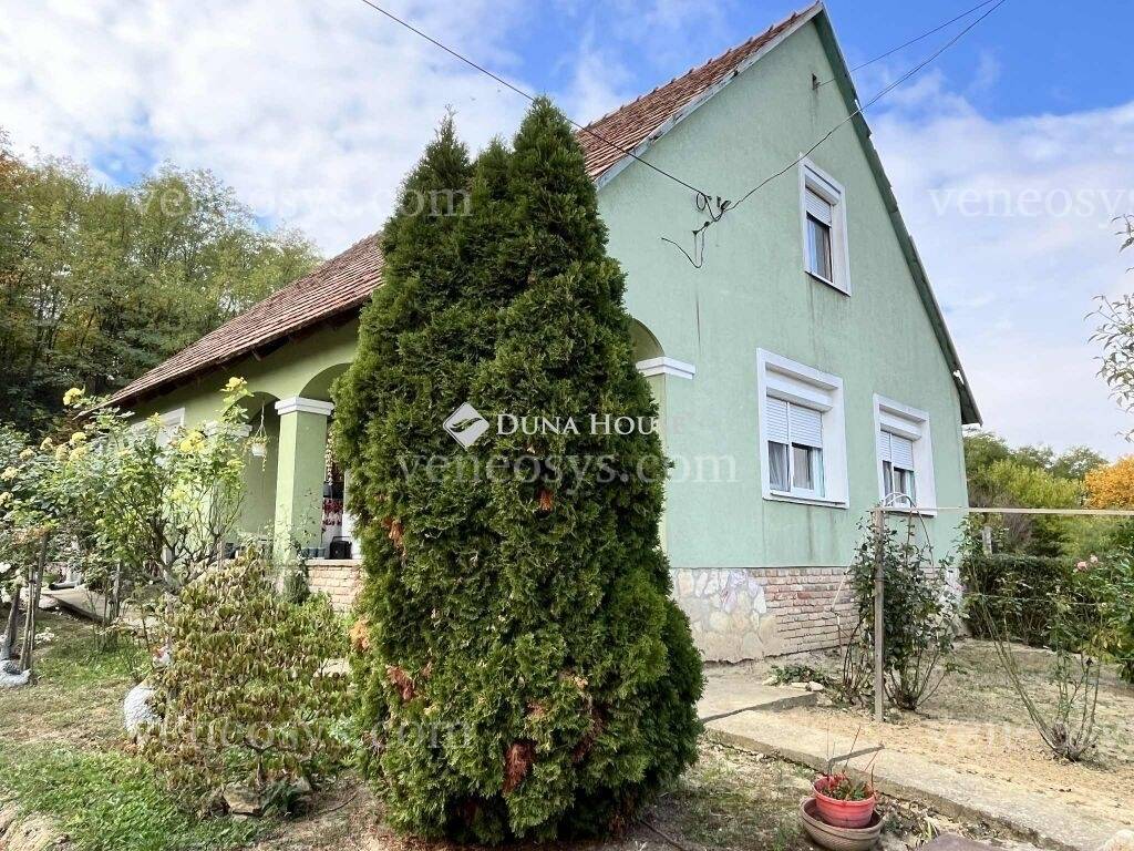 Kép 4