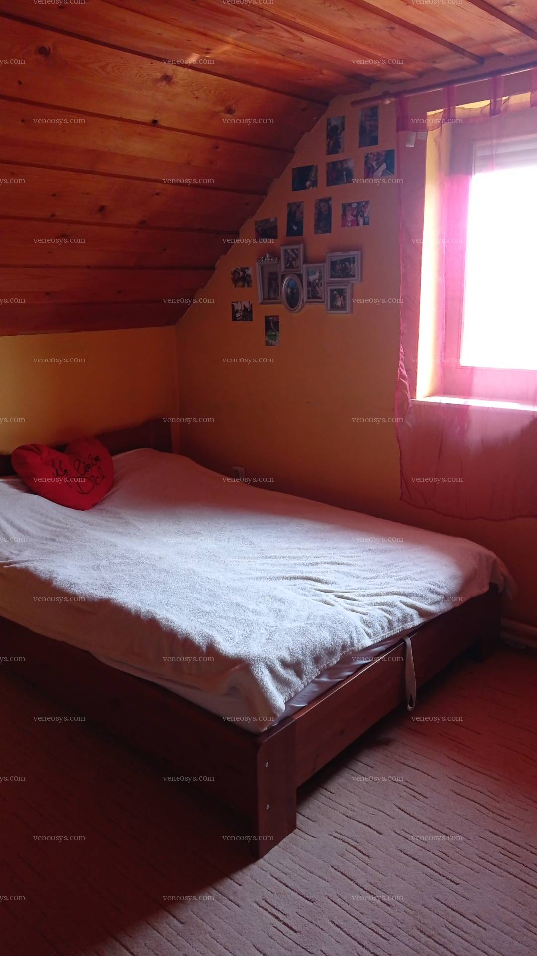 Kép 30