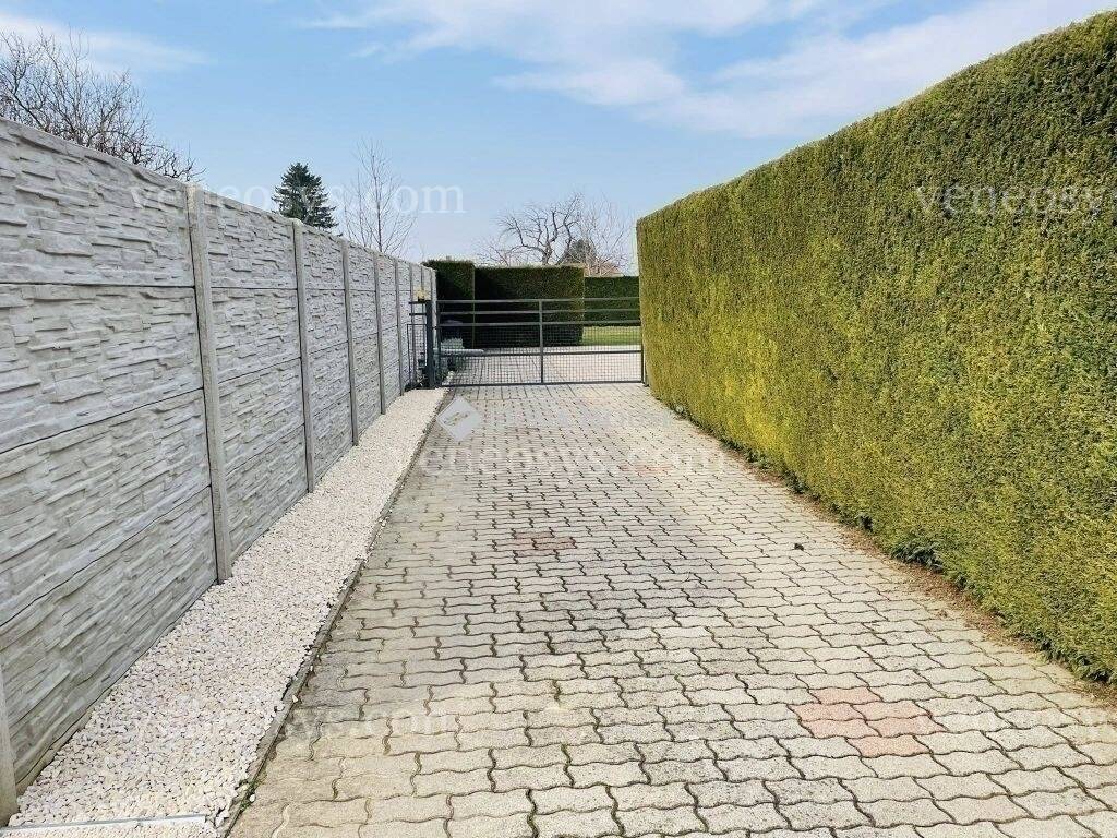 Kép 18