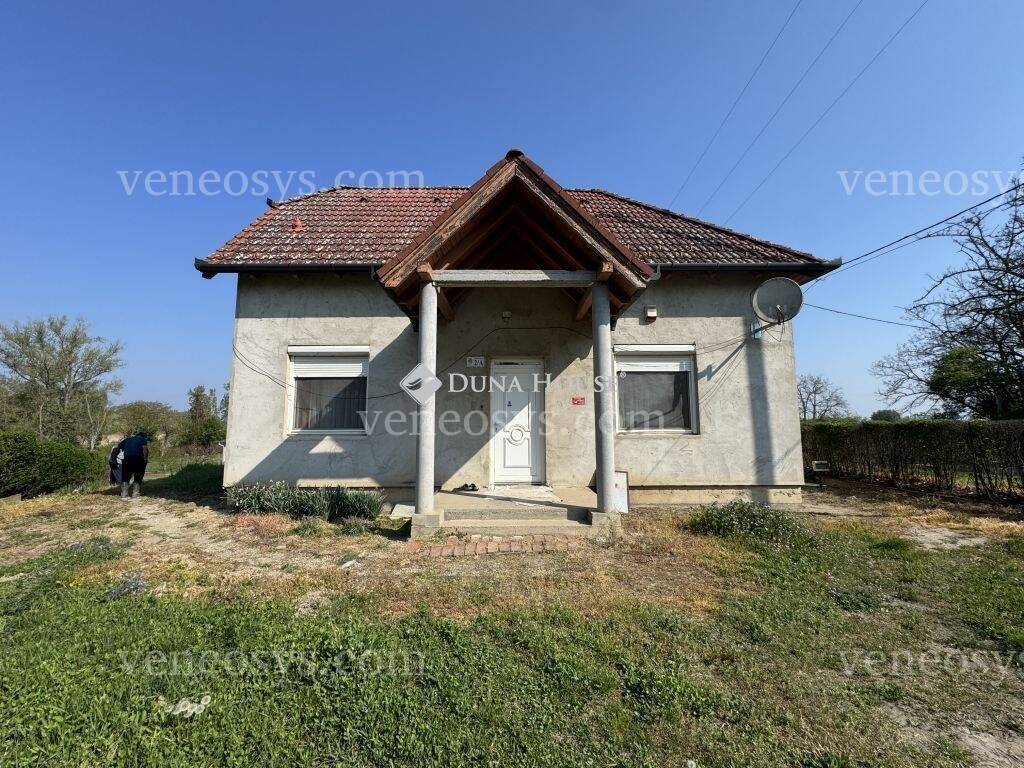 Kép 6