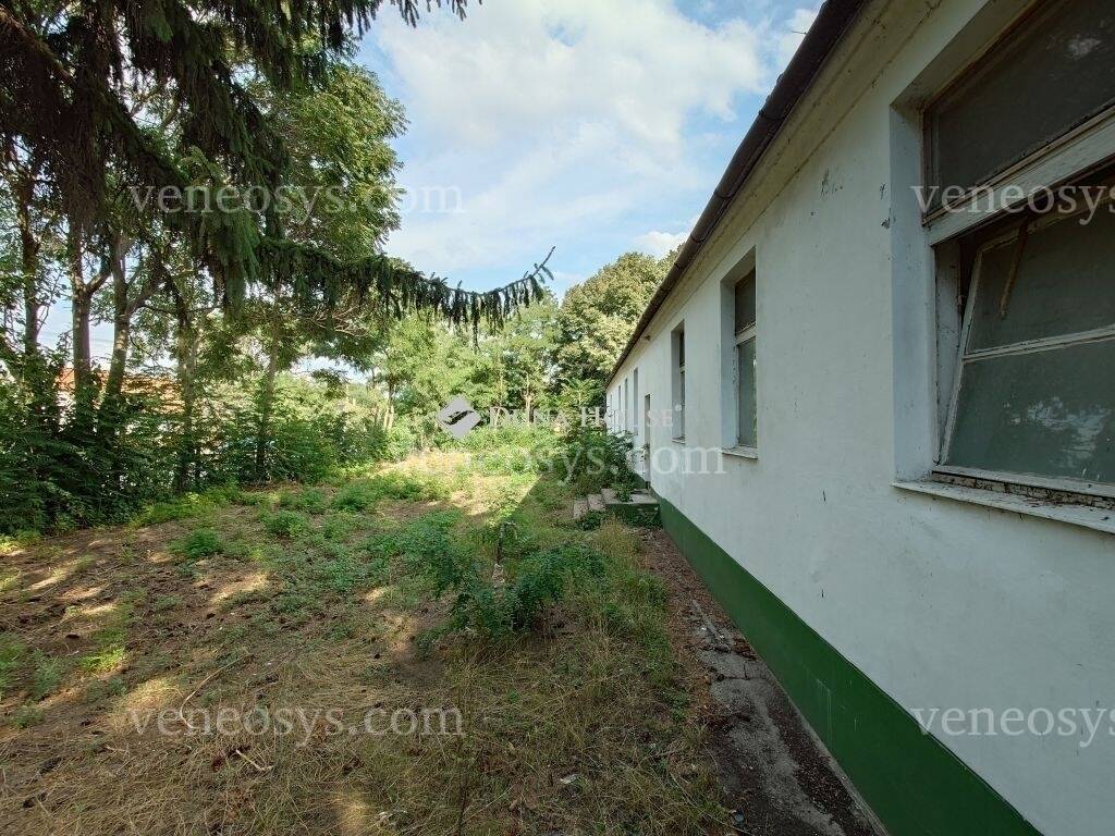 Kép 19