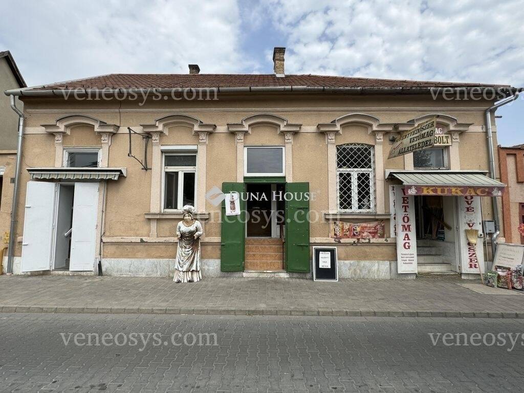 Kép 10