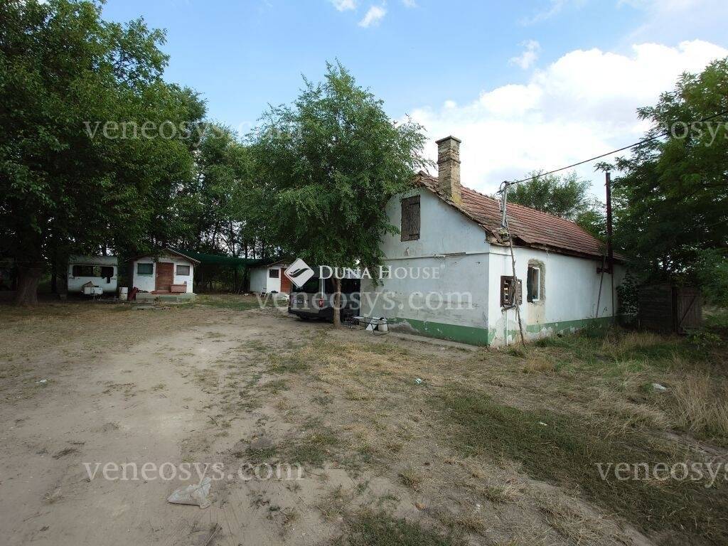 Kép 8