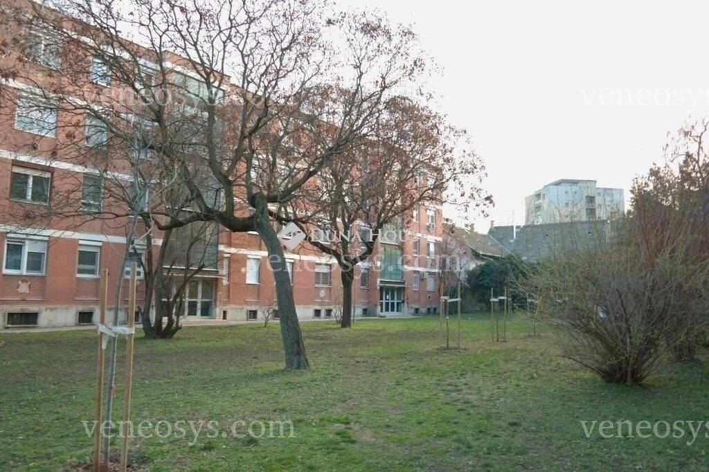 Kép 12