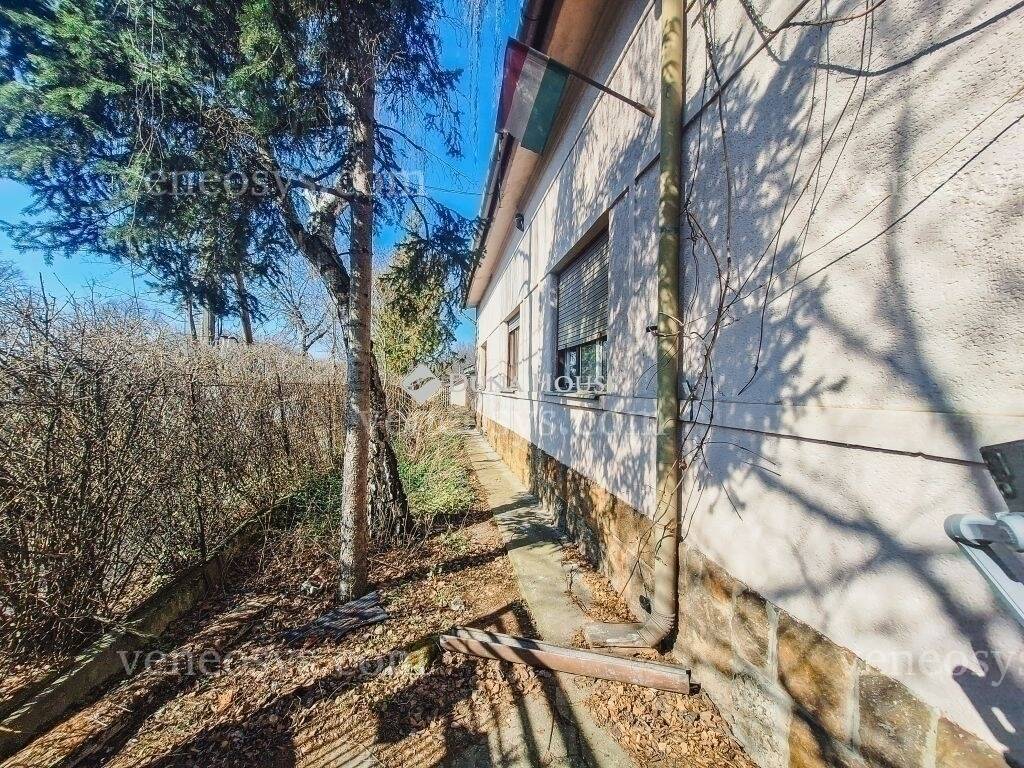 Kép 25
