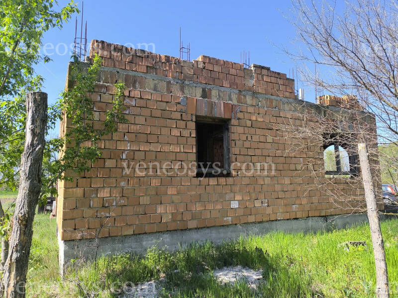 Kép 7