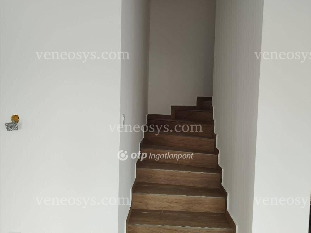 Kép 7