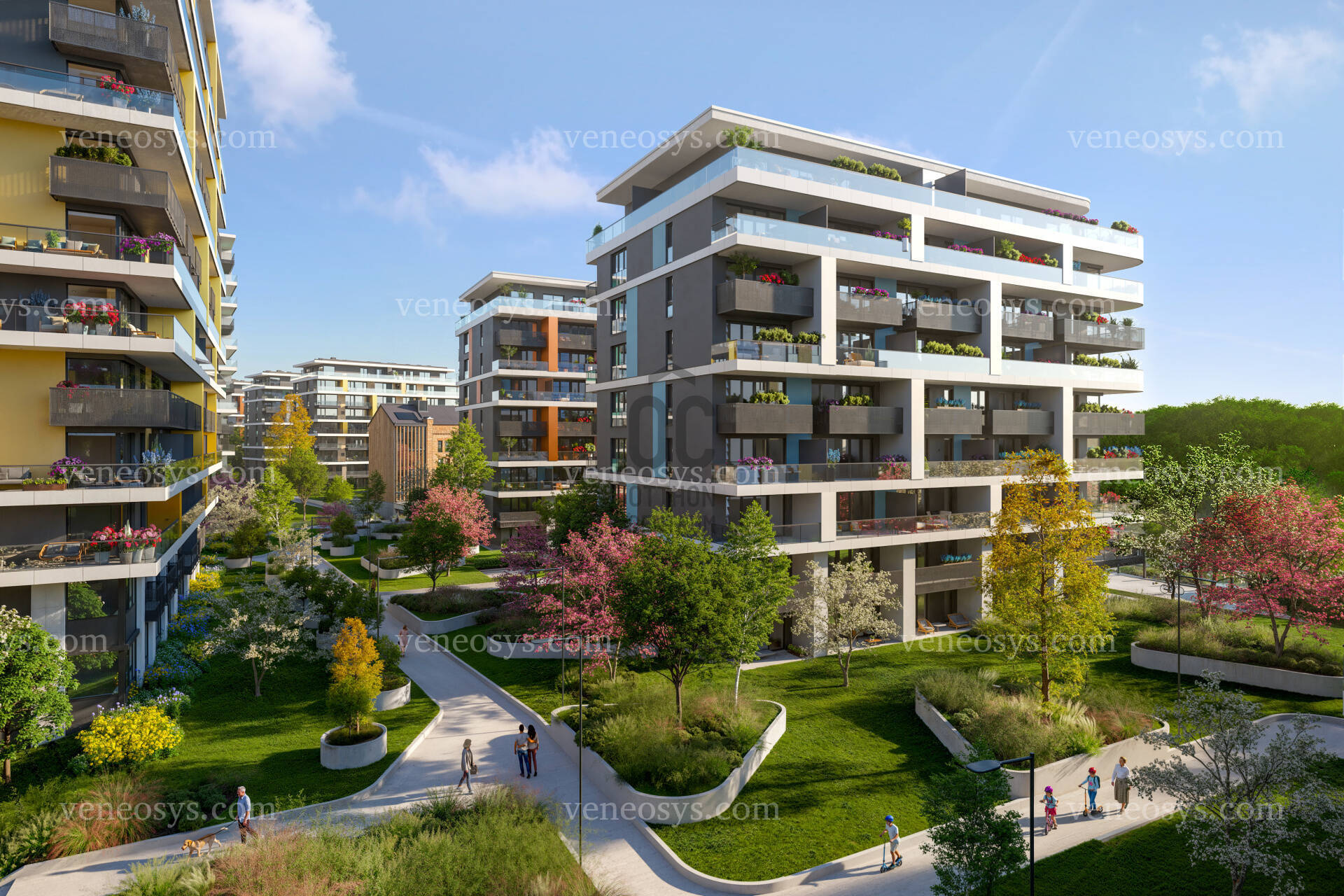 Kép 7