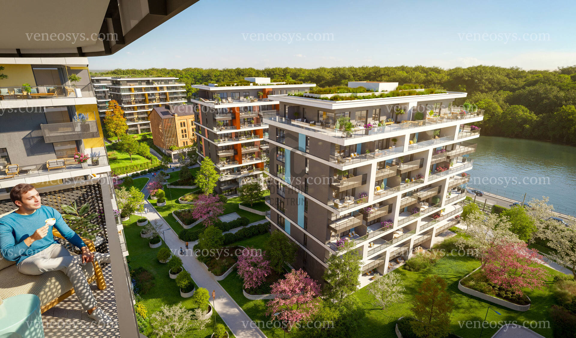 Kép 3