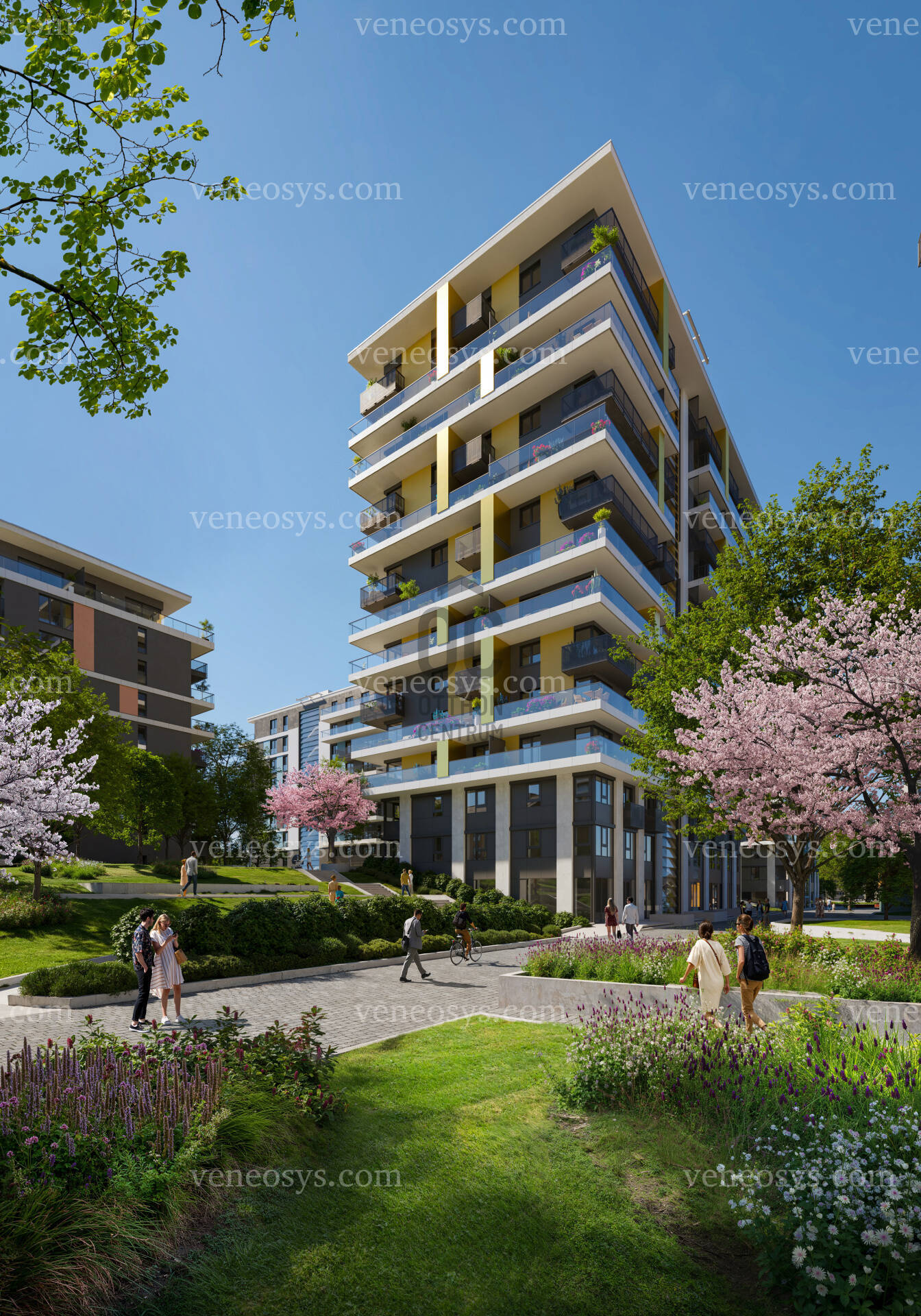 Kép 4