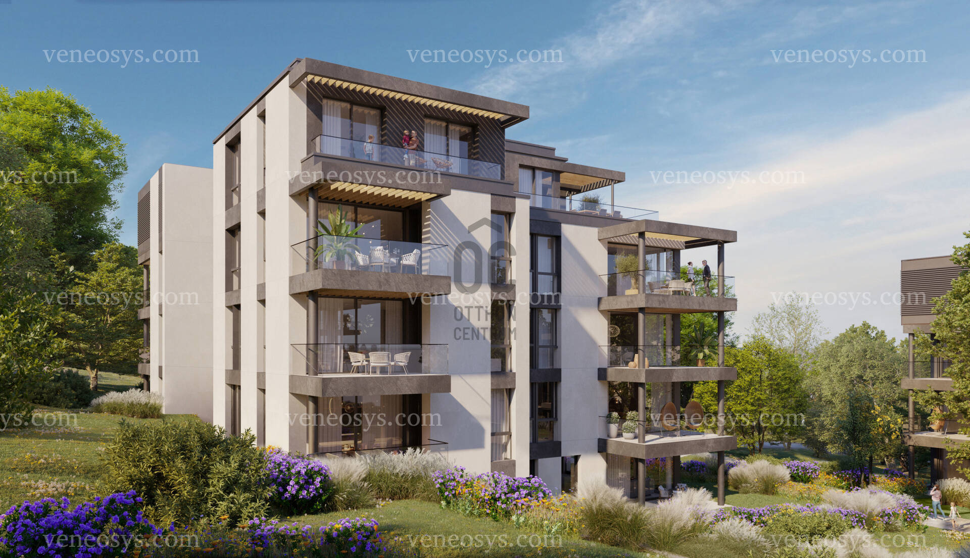 Kép 4