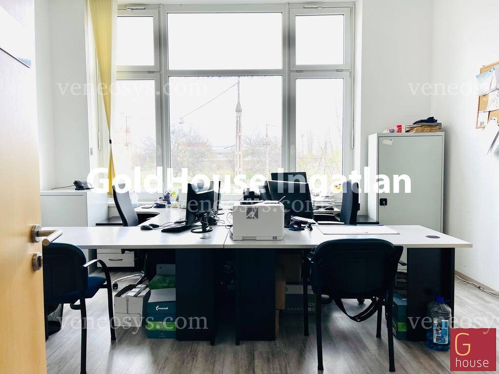 Kép 7