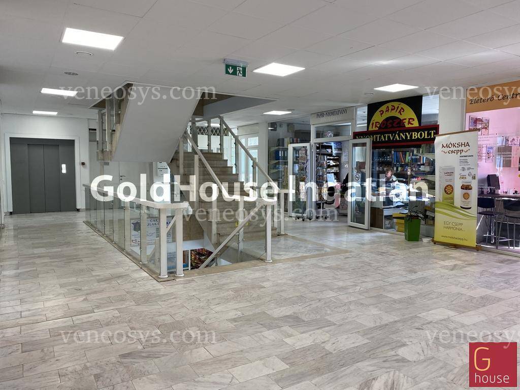 Kép 7