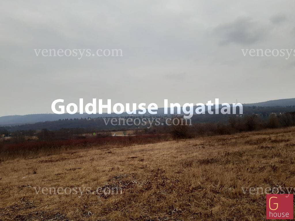 Ingatlan