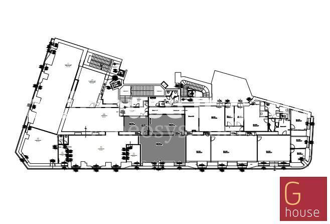 Kép 7