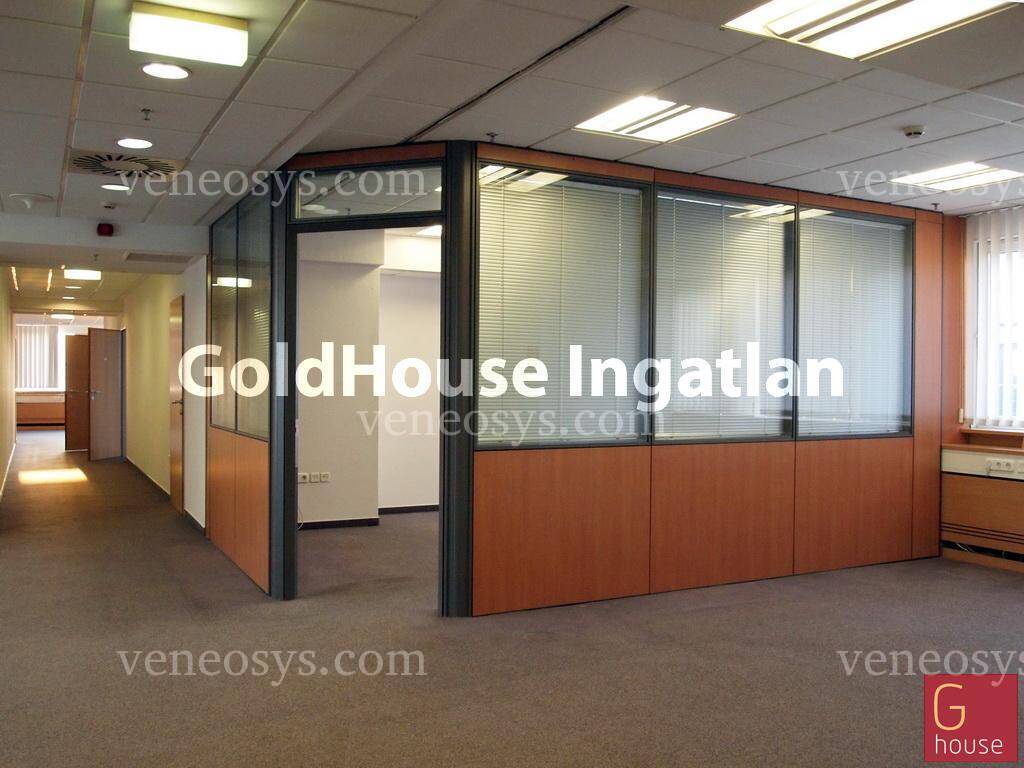 Kép 11